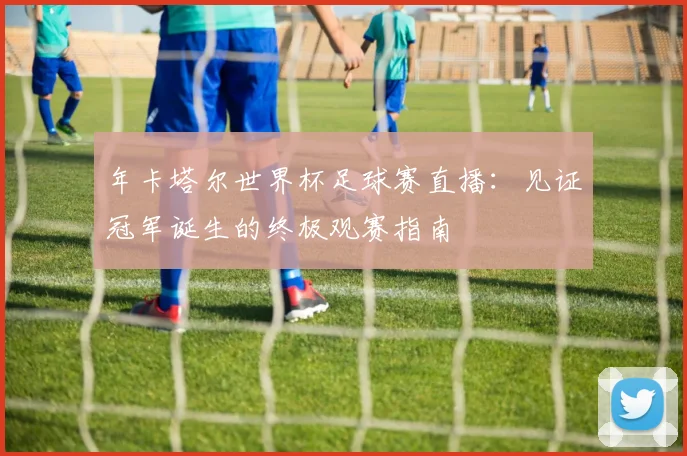 年卡塔尔世界杯足球赛直播：见证冠军诞生的终极观赛指南