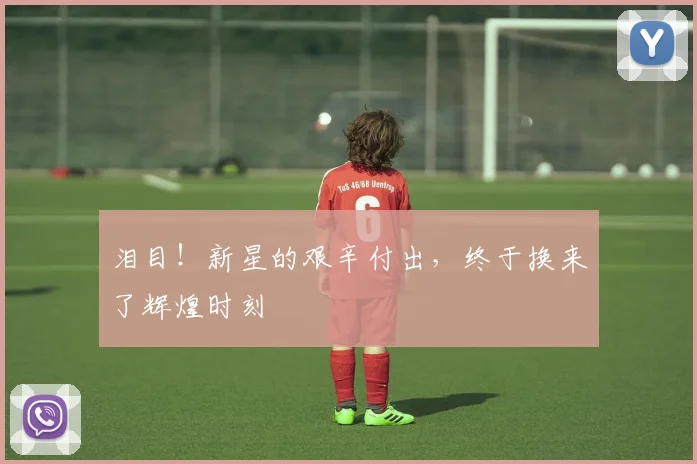 泪目！新星的艰辛付出，终于换来了辉煌时刻