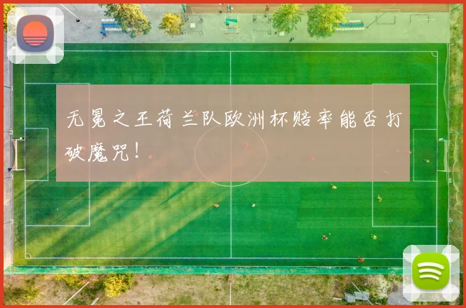 无冕之王荷兰队欧洲杯赔率能否打破魔咒！