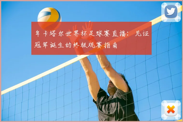 年卡塔尔世界杯足球赛直播：见证冠军诞生的终极观赛指南